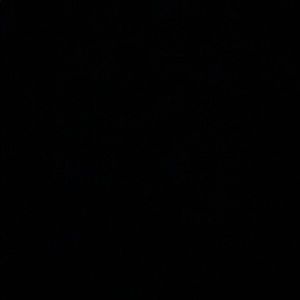 Meet your Posher, Chase